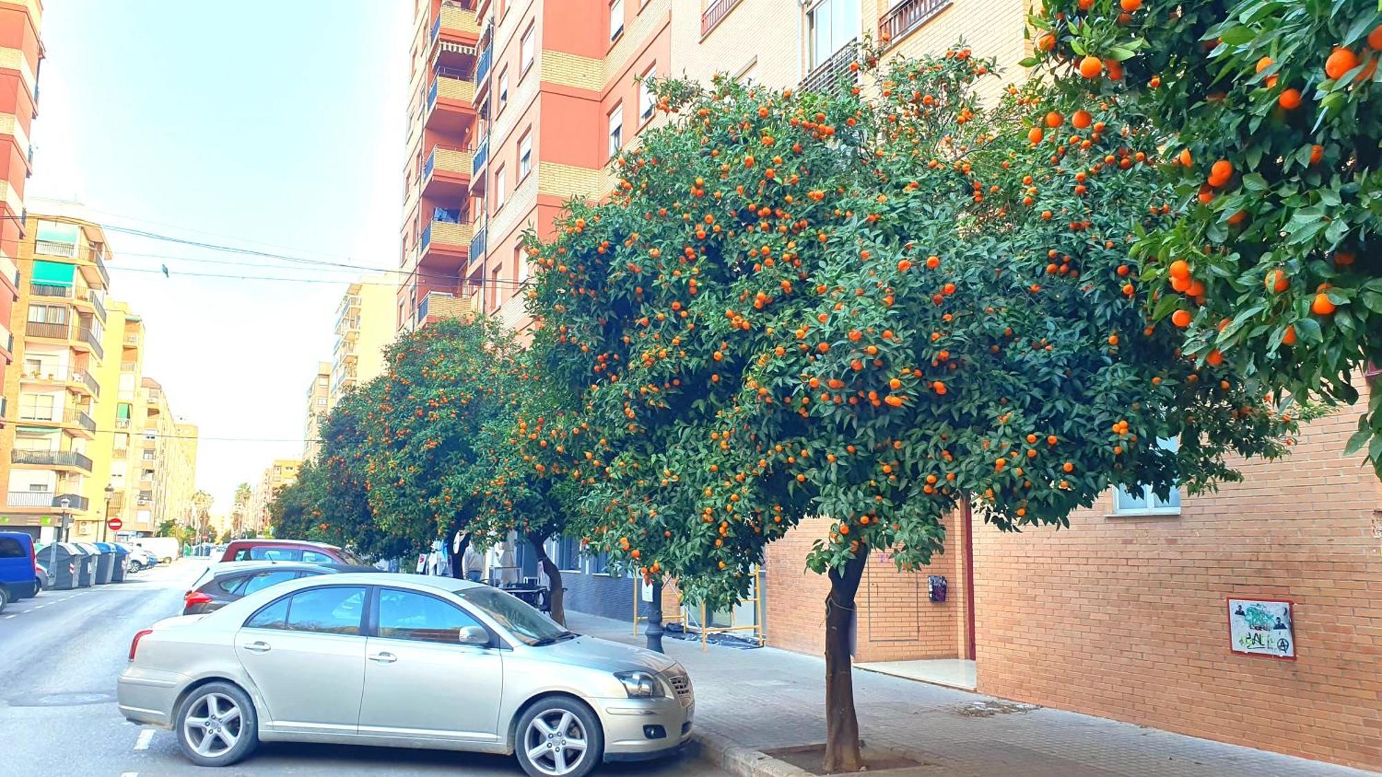 Nuevo Apartamentos Costa Del Alma Valencia Exterior photo